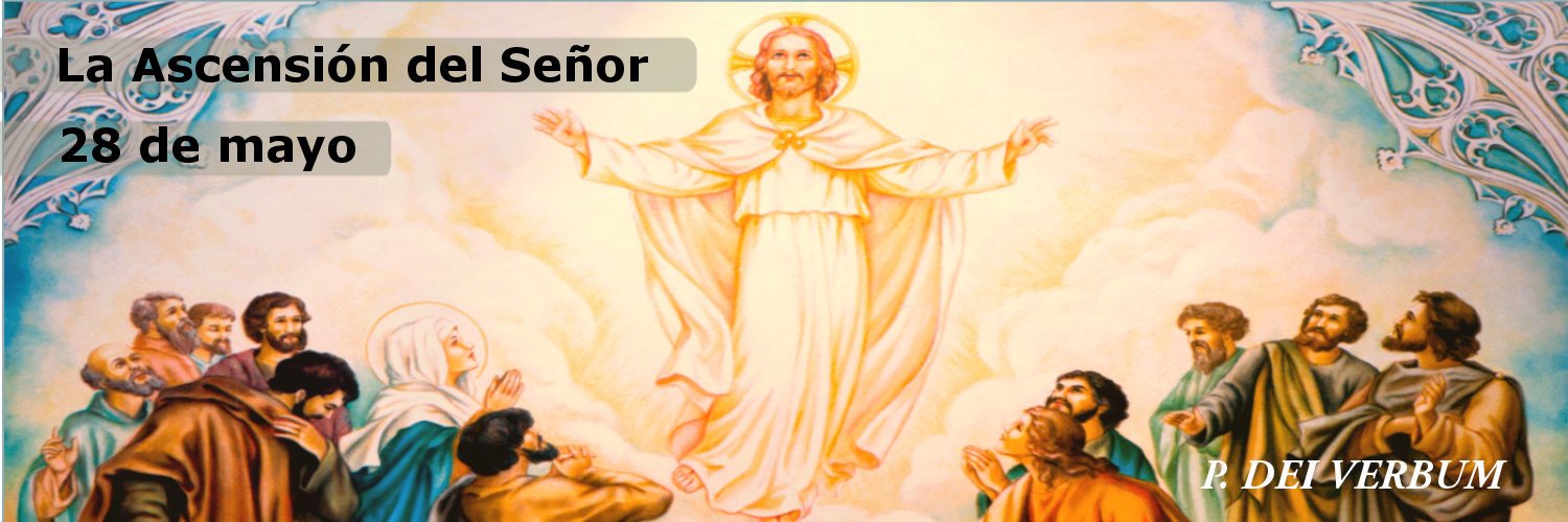 https://arquimedia.s3.amazonaws.com/256/formacion-catolica/senorpng.png