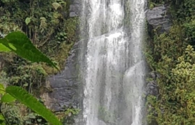 Caminata cHOACHI